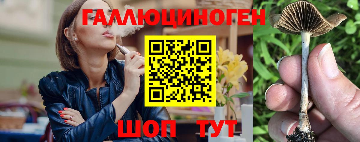 Галлюциногенные грибы Cubensis  Вход с VPN  Псилоцибиновые грибы Cubensis  Владикавказ 